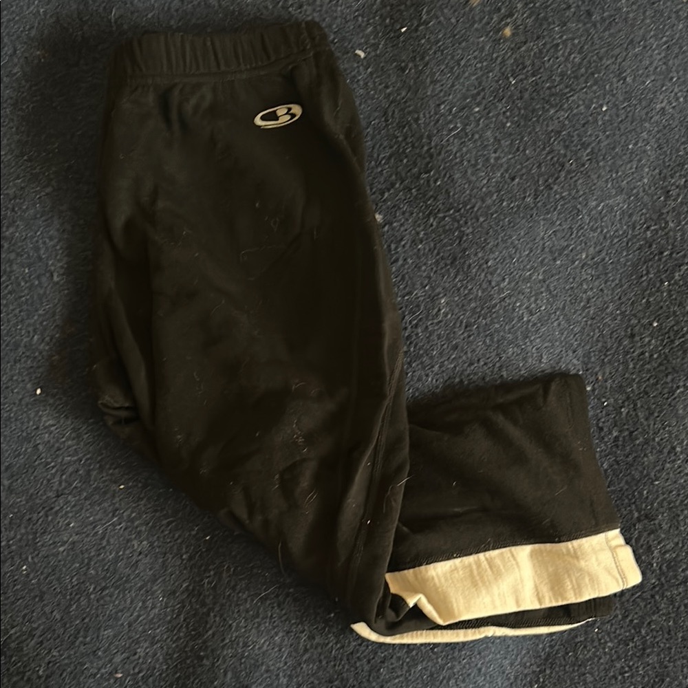 Icebreaker Merino Wool Leggings